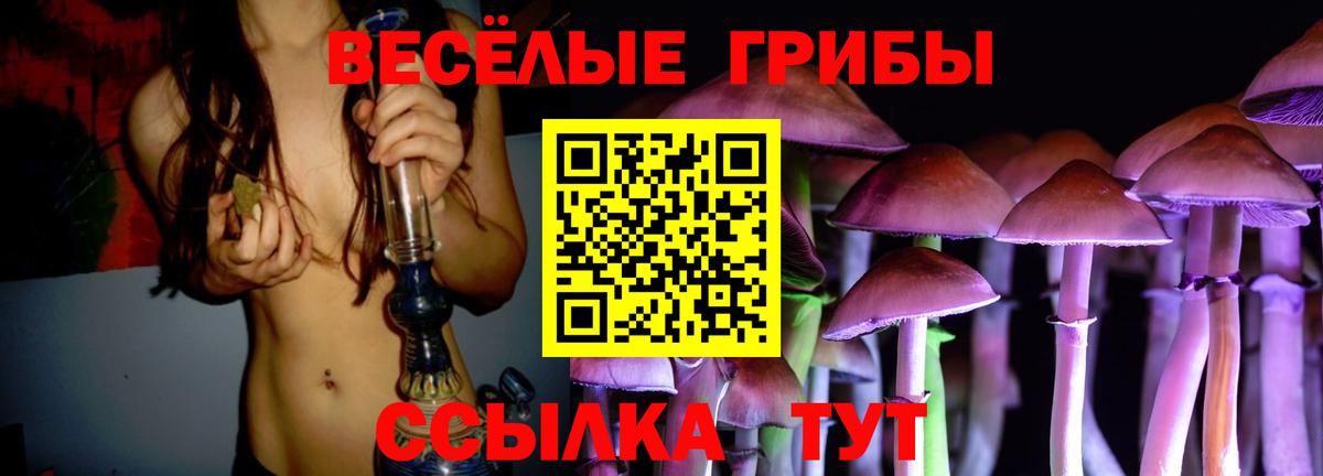 Псилоцибиновые грибы Cubensis  Псилоцибиновые грибы MAGIC MUSHROOMS  Вход с VPN  как найти наркотики  Артёмовский 